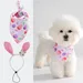 CoolPetGear Oster-Set für Hunde und Kaninchen