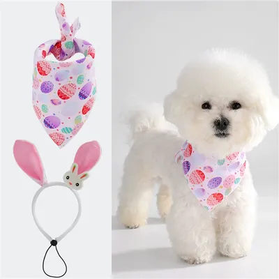 CoolPetGear Ensemble d'Easter pour chiens et lapins