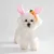 CoolPetGear Ensemble d'Easter pour chiens et lapins