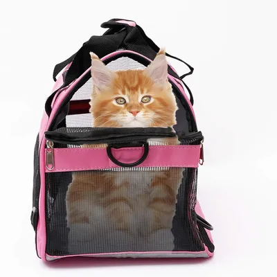 Pet Planet Sac amovible pour chat