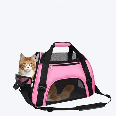 CoolPetGear Sac amovible pour chat