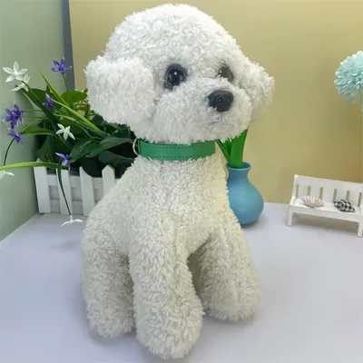 CoolPetGear Collier en cuir pour chats et chiens