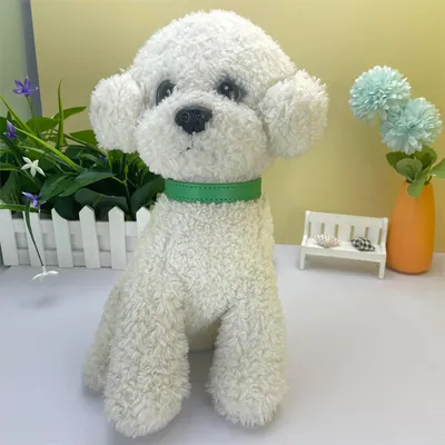 CoolPetGear Collier en cuir pour chats et chiens