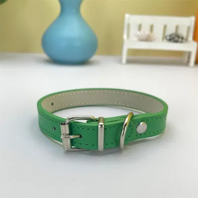 CoolPetGear Collier en cuir pour chats et chiens