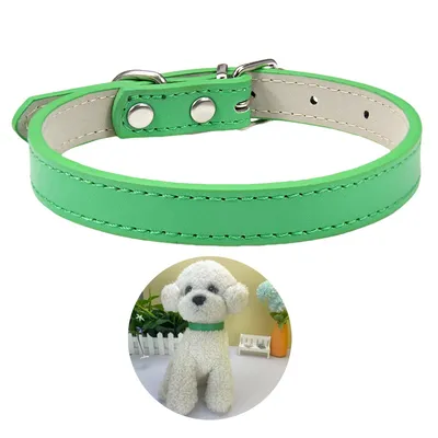 CoolPetGear Collier en cuir pour chats et chiens