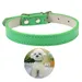 CoolPetGear Lederhalsband für Katzen und Hunde