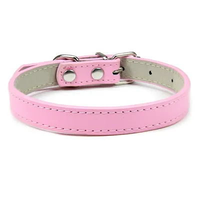 CoolPetGear Collier en cuir pour chats et chiens