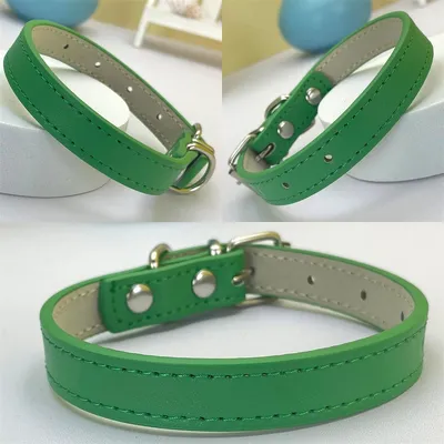 CoolPetGear Collier en cuir pour chats et chiens