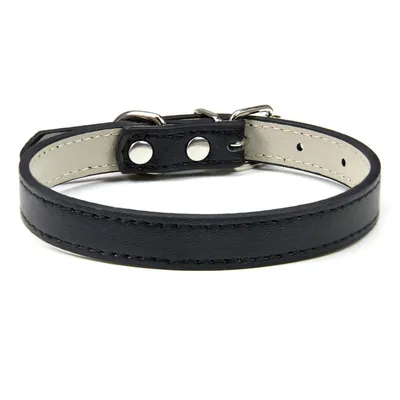 CoolPetGear Collier en cuir pour chats et chiens