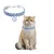 CoolPetGear Collier pour Animal de Compagnie avec Diamants CoolPetGear Collier pour Animal de Compagnie avec Diamants