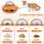 CoolPetGear Distributeur alimentaire interactif pour chats