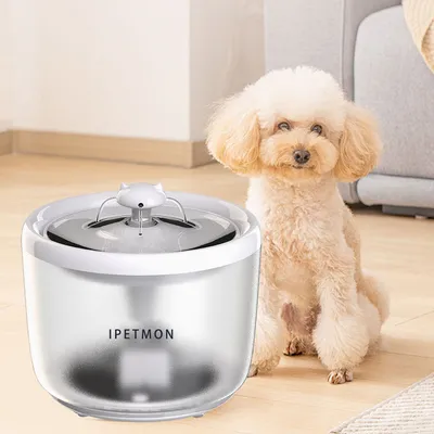 CoolPetGear Dispensateur automatique d'eau pour animaux de compagnie