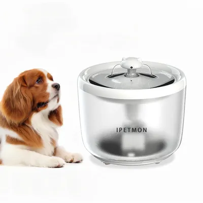 CoolPetGear Dispensateur automatique d'eau pour animaux de compagnie