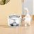 CoolPetGear Dispensateur automatique d'eau pour animaux de compagnie