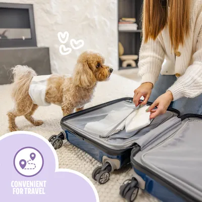 Easypets Couches pour chiens Reu