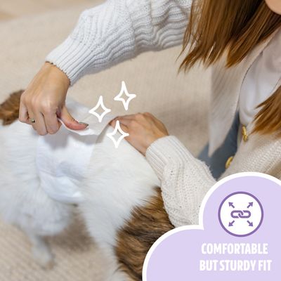 EasyPets Couche Chien Mâle M/L - Incontinence & Voyage - 30 pcs
