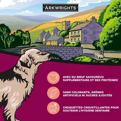 Croquettes chien actif – Arkwrights Sporting