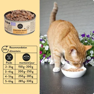 PUJA Premium nourriture pour chats 8x100g - riche en poulet et en vitamines