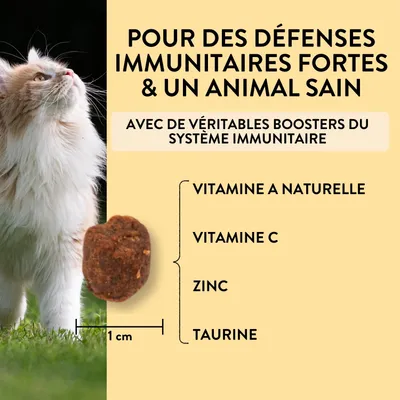 PUJA 3x friandises pour chats pour renforcer le système immunitaire