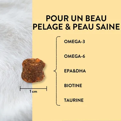 PUJA 3x Friandises pour chat pour une peau saine et un pelage brillant