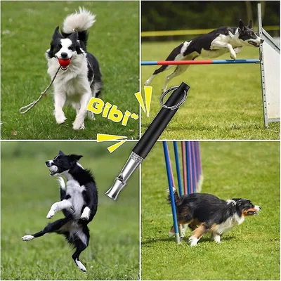 MCBOSON 2 sifflets de dressage pour chien