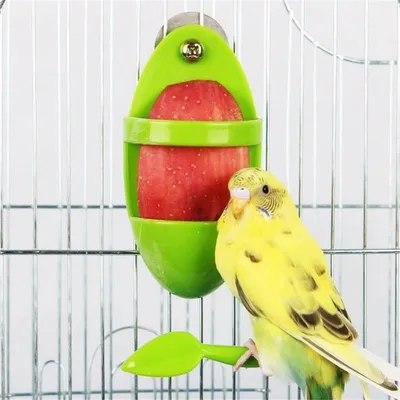 MCBOSON Comedero para pájaros de 2 piezas