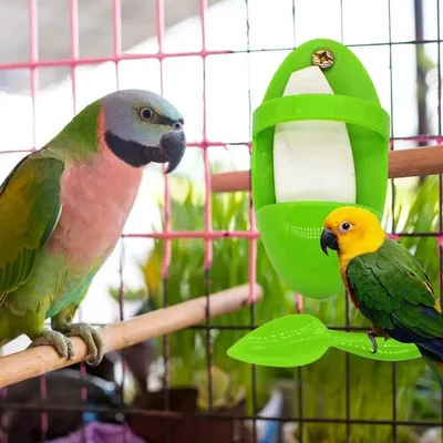 MCBOSON Comedero para pájaros de 2 piezas