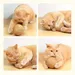 MCBOSON Balle jouet en sisal pour chats