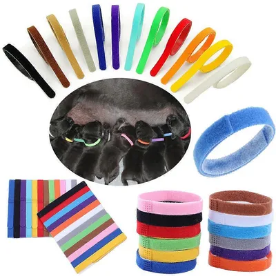 MCBOSON  Colliers d'identification pour bébé chien et chat