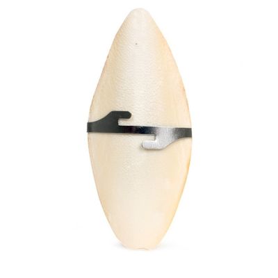 Os de seiche 11.5 cm avec support pour oiseaux