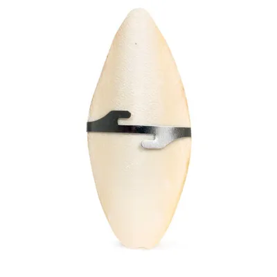 Os de seiche  11.5 cm avec support pour oiseaux