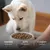 TRUFFE DÉLICE Croquettes chien senior - Saumon d'Écosse TRUFFE DÉLICE Croquettes chien senior - Saumon d'Écosse