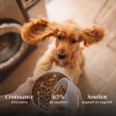 TRUFFE DÉLICE Croquettes chiot - Saumon d'Écosse