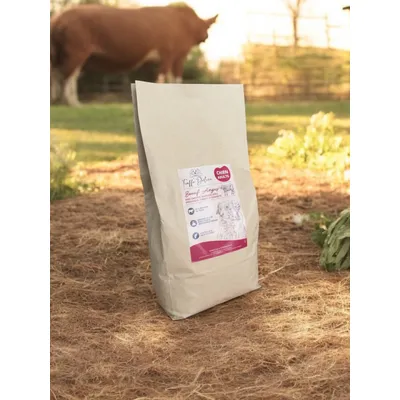 Truffe Délice Croquettes chien adulte - Bœuf Angus