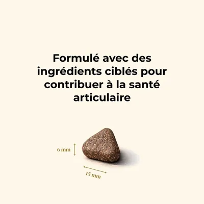 TRUFFE DÉLICE Croquettes chien adulte - Bœuf Angus