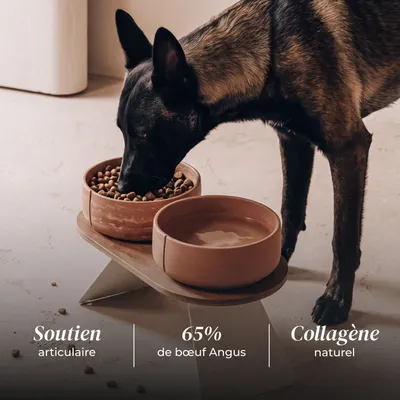 TRUFFE DÉLICE Croquettes chien adulte - Bœuf Angus