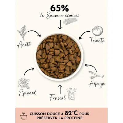 TRUFFE DÉLICE Croquettes chien adulte - Saumon d'Écosse