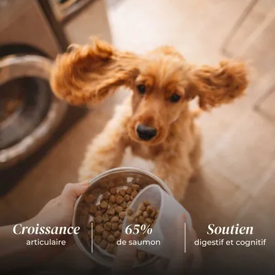 TRUFFE DÉLICE Croquettes chiot - Saumon d'Écosse TRUFFE DÉLICE Croquettes chiot - Saumon d'Écosse