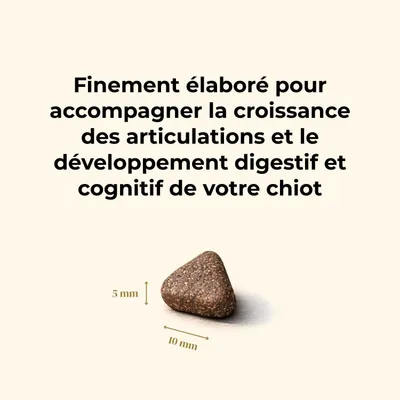 TRUFFE DÉLICE Croquettes chiot - Saumon d'Écosse TRUFFE DÉLICE Croquettes chiot - Saumon d'Écosse