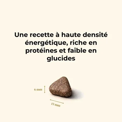TRUFFE DÉLICE Croquettes chien adulte - Dinde élevés en plein air TRUFFE DÉLICE Croquettes chien adulte - Dinde élevés en plein air