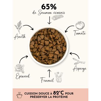 TRUFFE DÉLICE Croquettes chien adulte - Saumon d'Écosse