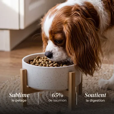 Truffe Délice Croquettes petit chien adulte - Saumon d’Écosse Truffe Délice Croquettes petit chien adulte - Saumon d’Écosse