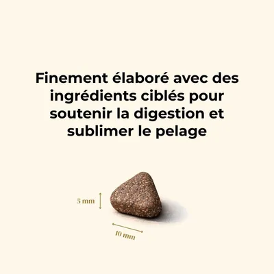Truffe Délice Croquettes petit chien adulte - Saumon d’Écosse Truffe Délice Croquettes petit chien adulte - Saumon d’Écosse
