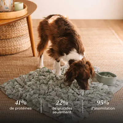 Truffe Délice Croquettes chien adulte - Dinde et Cochon élevés en plein air