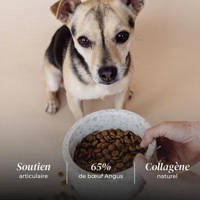 TRUFFE DÉLICE Croquettes petit chien adulte - Bœuf Angus