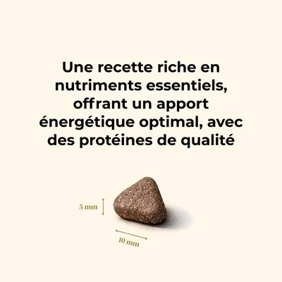 TRUFFE DÉLICE Croquettes petit chien adulte - Dinde élevés en plein air TRUFFE DÉLICE Croquettes petit chien adulte - Dinde élevés en plein air