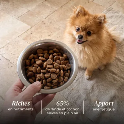 TRUFFE DÉLICE Croquettes petit chien adulte - Dinde élevés en plein air TRUFFE DÉLICE Croquettes petit chien adulte - Dinde élevés en plein air