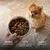 TRUFFE DÉLICE Croquettes petit chien adulte - Dinde élevés en plein air TRUFFE DÉLICE Croquettes petit chien adulte - Dinde élevés en plein air