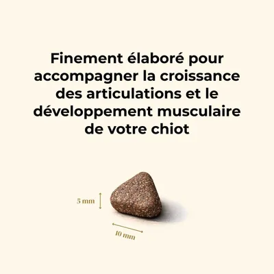 Truffe Délice Croquettes chiot - Bœuf Angus