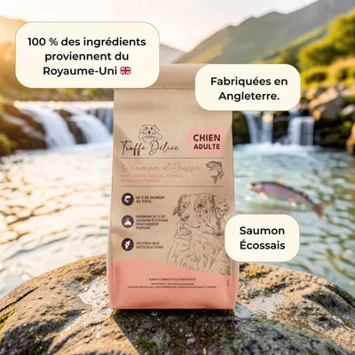 Truffe Délice Croquettes chien adulte - Saumon d’Écosse